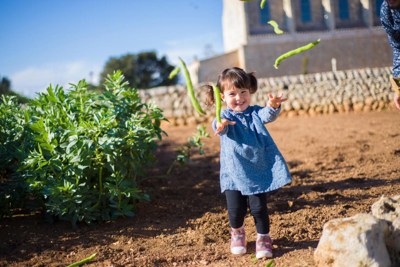 Llucmacanes Gran Agroturismo Mahon  Luaran gambar