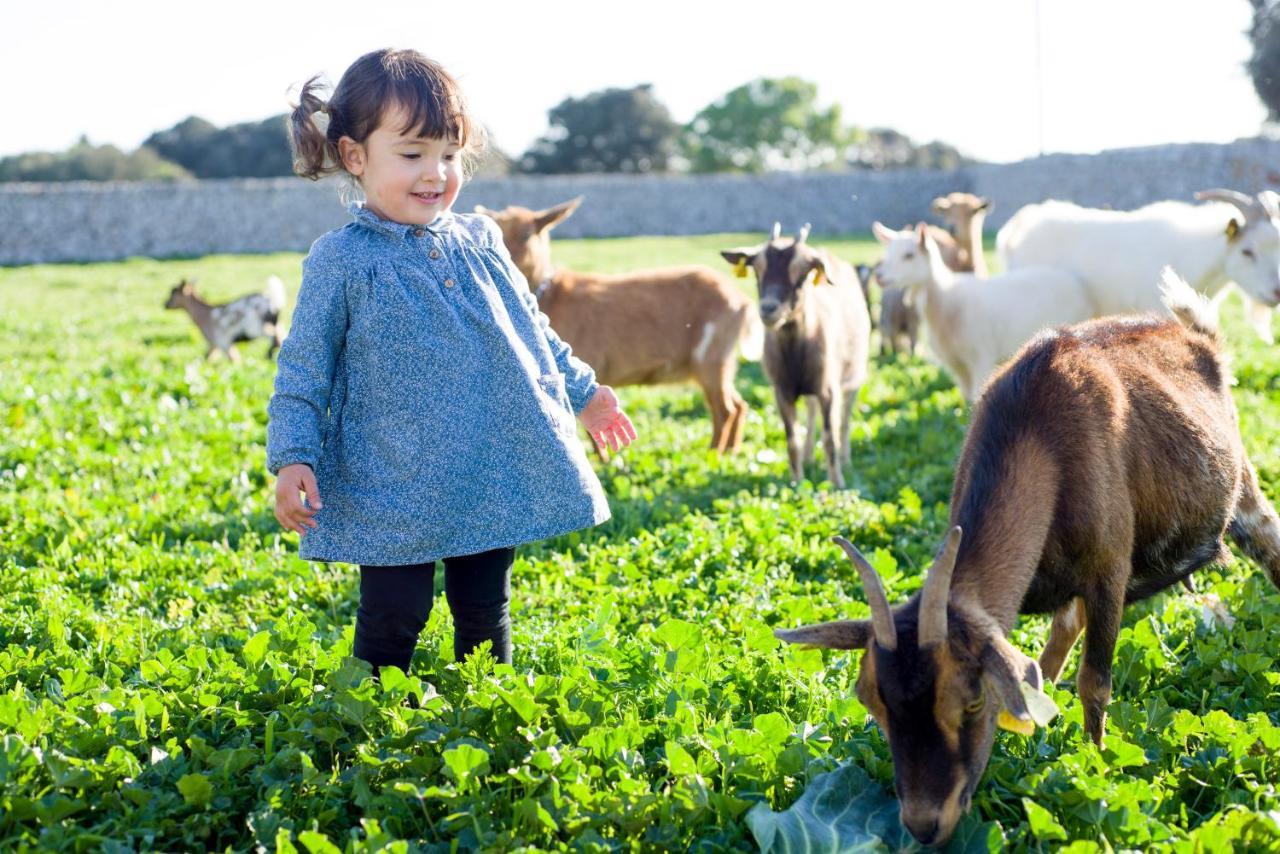 Llucmacanes Gran Agroturismo Mahon  Luaran gambar