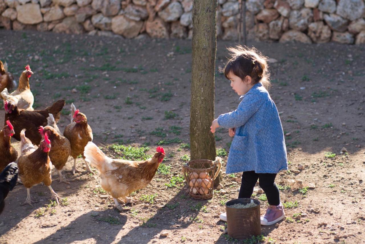 Llucmacanes Gran Agroturismo Mahon  Luaran gambar