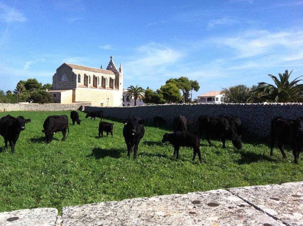 Llucmacanes Gran Agroturismo Mahon  Luaran gambar