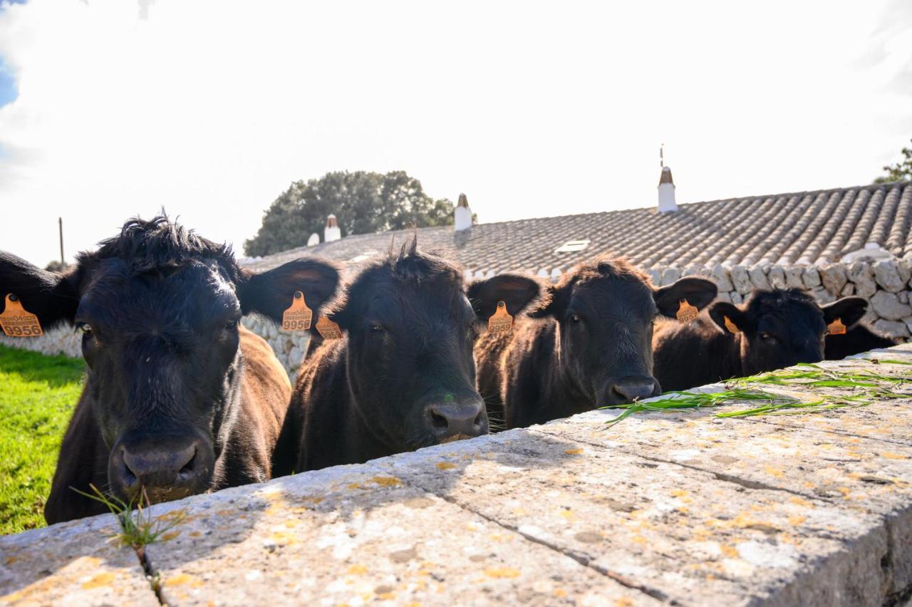 Llucmacanes Gran Agroturismo Mahon  Luaran gambar