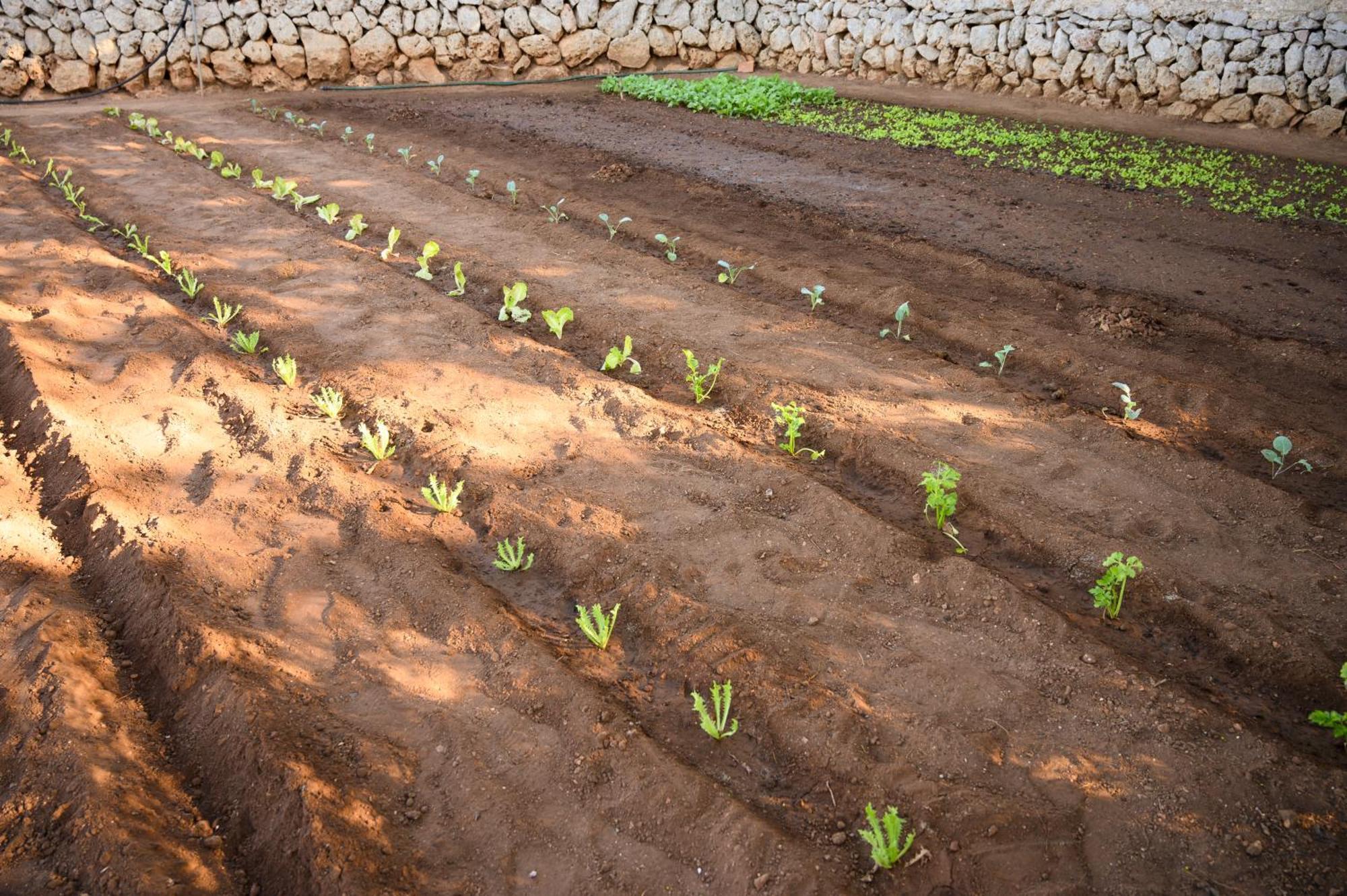 Llucmacanes Gran Agroturismo Mahon  Luaran gambar